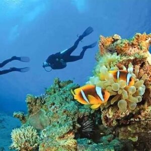 Scuba Diving Trip in Hurghada – Explore the Red Sea